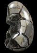 Bargain Septarian Dragon Egg Geode - Black Crystals #96729-2